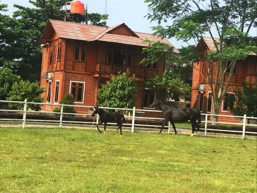 APM Equestrian Resort Tangerang