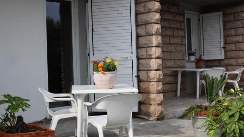B&B Bassu 4