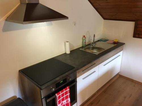 Kitchen, Dolar Guesthouse Bled in Bled