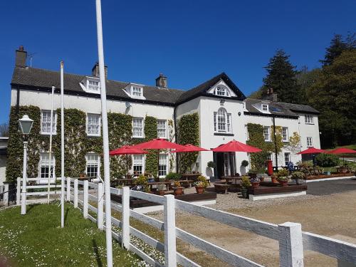 Llwyngwair Manor