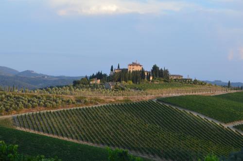 damario panorama Panzano