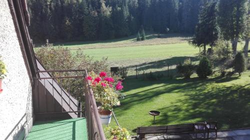 Pokoje goscinne na Gasienicowym Potoku, Zakopane (fotografie 9)