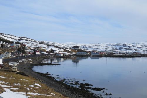 Beautiful house just 50 m from the sea in Berufjardarvatn