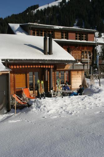 Bergdohle in Adelboden, Schweiz