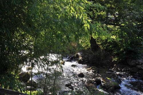 Camping jardin La Vie en Vert en Ariège