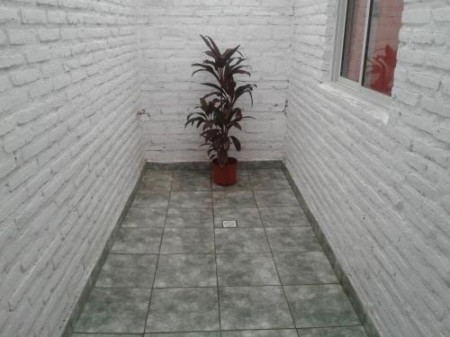 Residencial Guadalupe