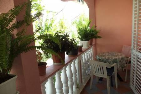 Sea View Apartments Pericic photo