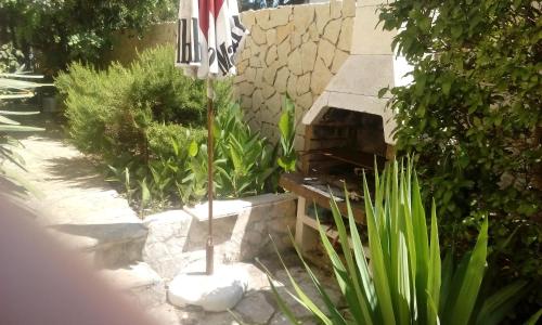  Apartments Ferri-Certic in Basina