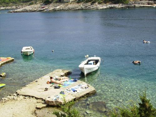  Apartments Ferri-Certic in Basina
