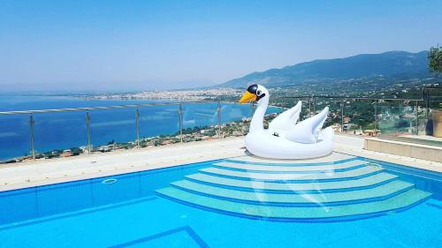 Belvedere Hotel - image 13