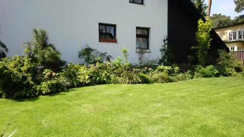 Pod Sosnami Pod Sosnami