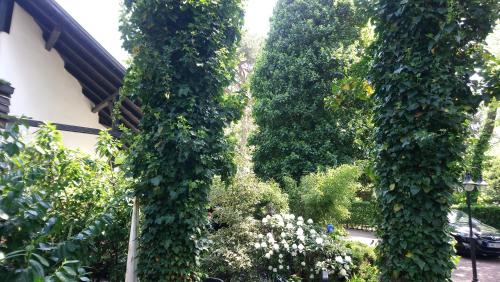 Pod Sosnami Pod Sosnami