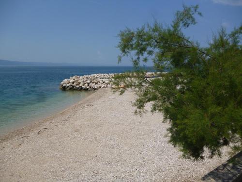 Adel - image 3