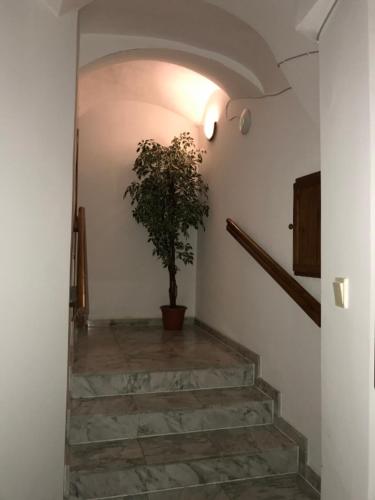 Club M.K.M. Modra - image 5