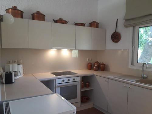 virtuve, Rododafni Bay Residences in Rododafni (Akhaia)