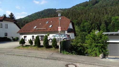 Alb-Rosa in Bad Herrenalb, Deutschland