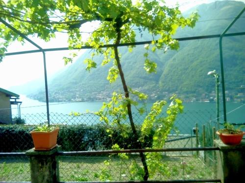  Over the Lake Cà Fede, Pension in Pognana Lario