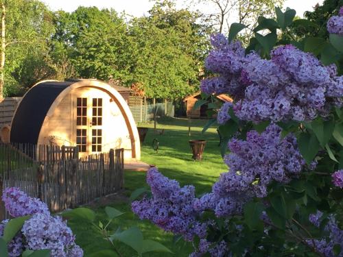 Het Koningshofje chambre d'hôte Neus