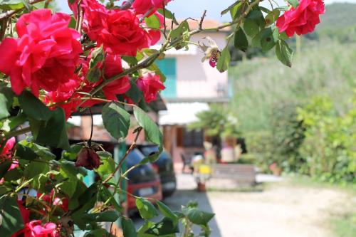 Appartamenti Val di Denari