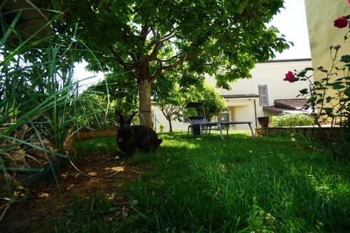  Bozica Apartments Umag in Murine