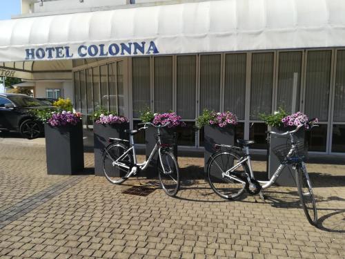 Hotel Colonna - image 4