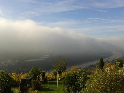 Apartment an der Mosel 1