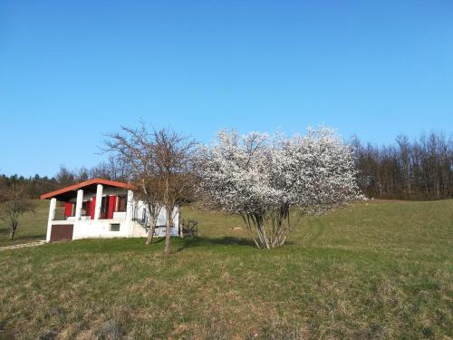  La Casetta Bianca, Pension in Albareto bei Bedonia