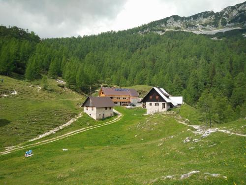 Homestead Zatrnik near Bled in Krnica