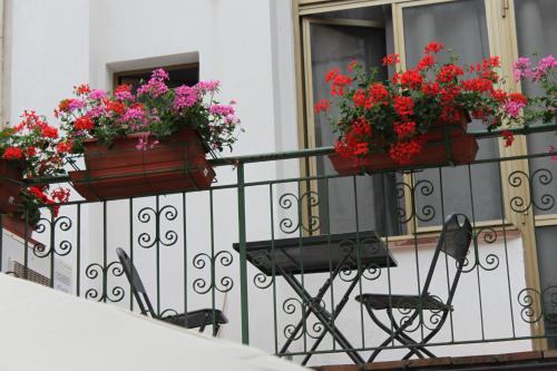 Hotel Dalmazia - image 8