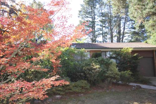 Blackheath New South Wales Australia Vacation Rentals Holiday