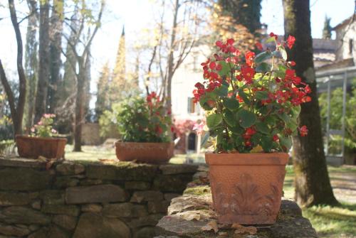 Relais La Torre - image 7