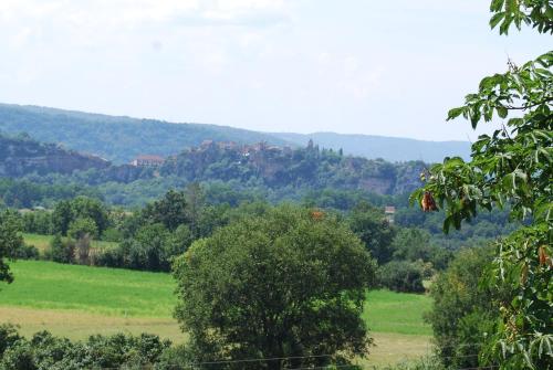 Mas de Garrigue