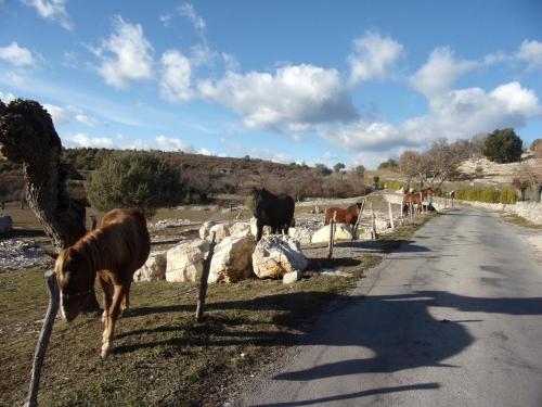 Gîtes de charme la FENIERE, 105 m2, 3 ch dans Mas en pierres, piscine chauffée, au calme, sud Ardèche