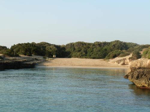 Lantico Orto – Ostuni, AR