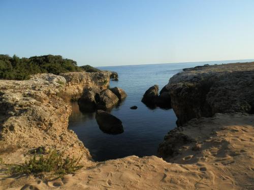 Lantico Orto – Ostuni, AR