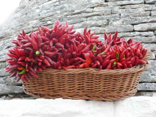 Lantico Orto – Ostuni, AR