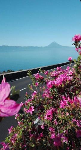  Belverdere Calheta House in Calheta