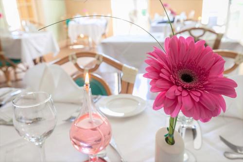 The Hotel Balmoral - Just for Adults - image 3