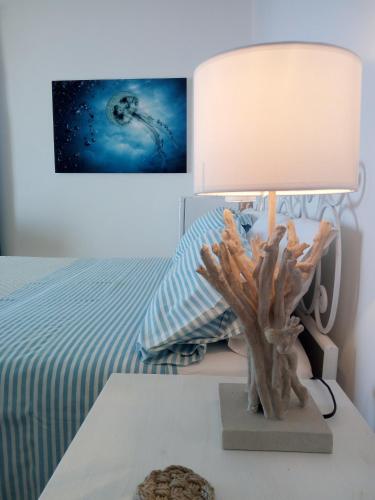 Ambrosio home Ambrosio home