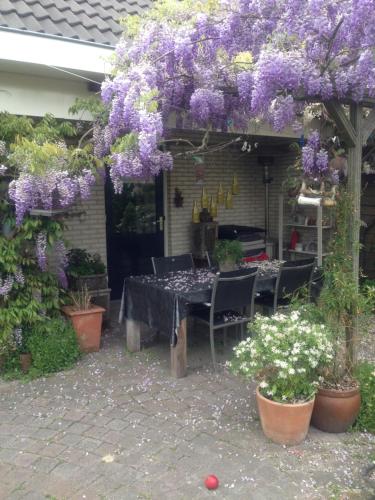 ทัศนียภาพภายนอกโรงแรม, B&B De Koraal in เอ็มเม่น