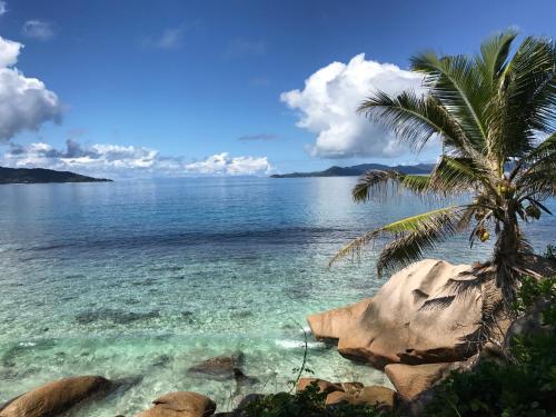 142626390 Château de feuilles & SPA - Praslin island