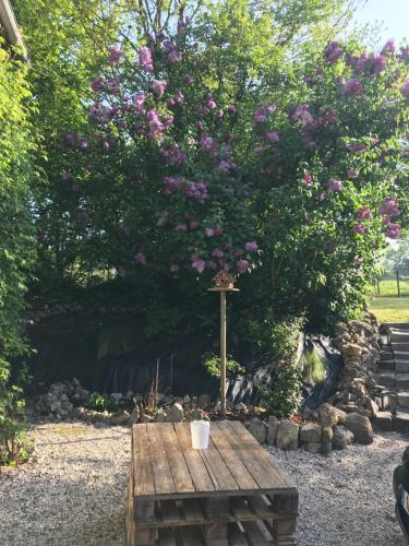 Chez Natacha et Adrien in Regneville-Sur-Mer