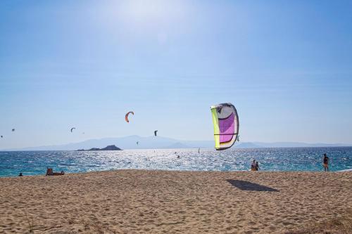 Naxos Luxury Villas - image 3