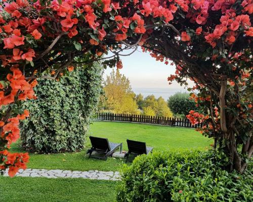 Bed and Breakfast Nefer 4