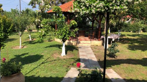  Best summer vacation in 63080 Nea Kallikratia