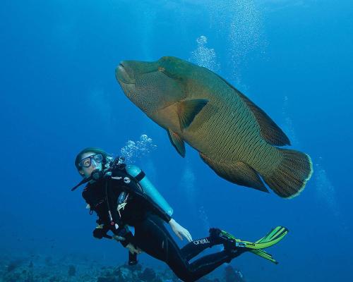 エリート ビーチ イン