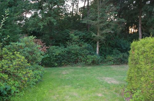 Bungalow Hartje Veluwe