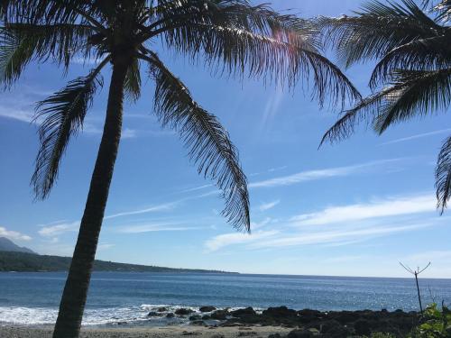 椰子海岸評價、影片、特色體驗、房價資訊、訂房連結 – 海景親子友善渡假民宿 - 照片 10
