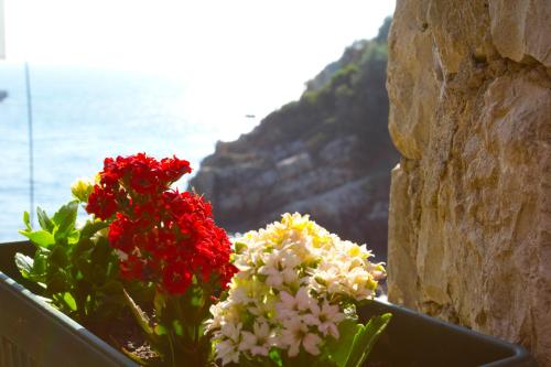 Apartments Gran Sasso Room Type - Apartment with Garden View