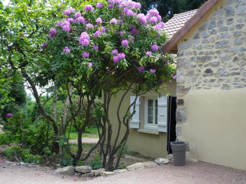 Le Cèdre enchanté